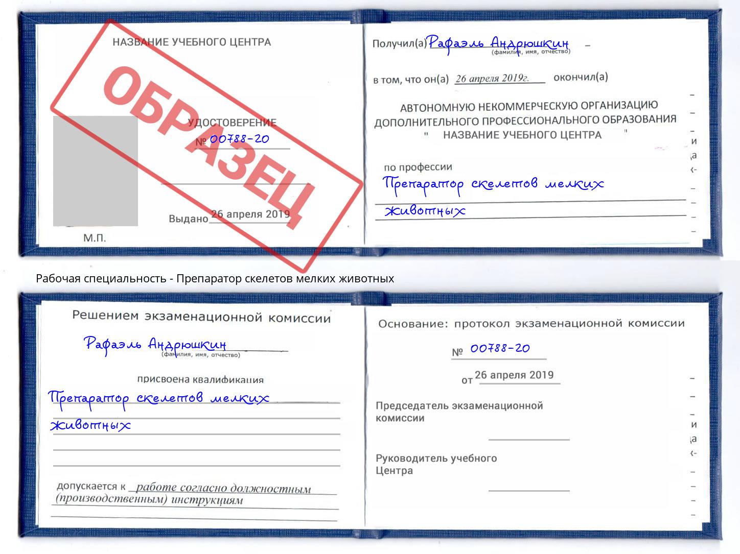 Препаратор скелетов мелких животных Магнитогорск