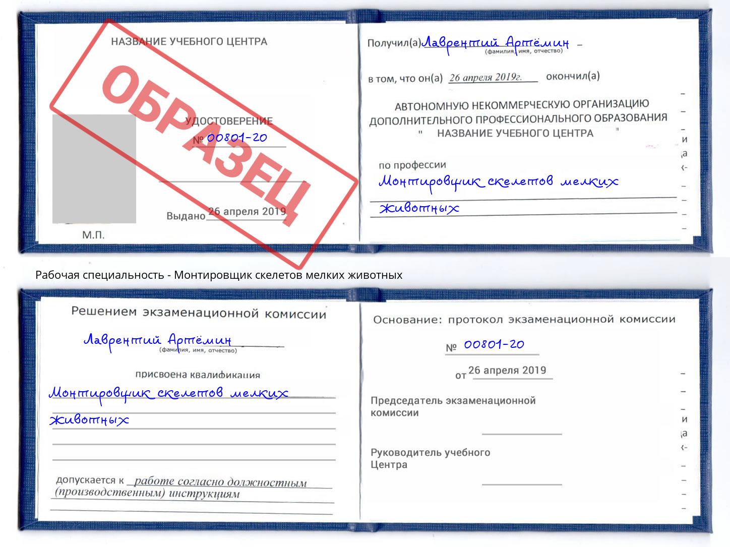 Монтировщик скелетов мелких животных Магнитогорск